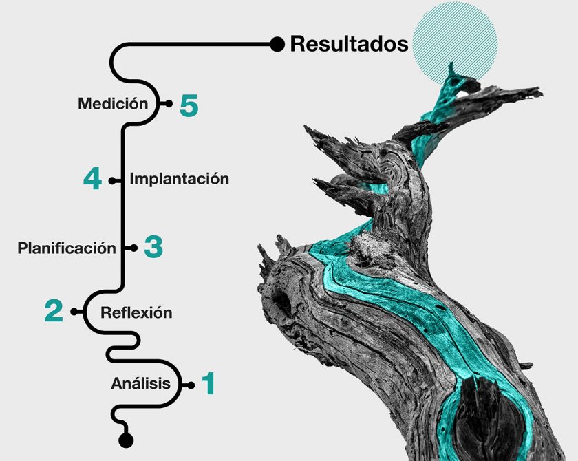 arbol y esquema arbol y esquema